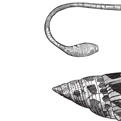 Welcome to Armitage pod