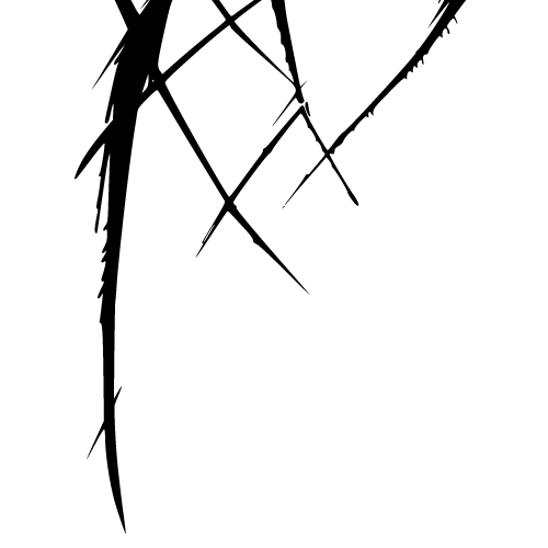 Welcome to Armitage legs